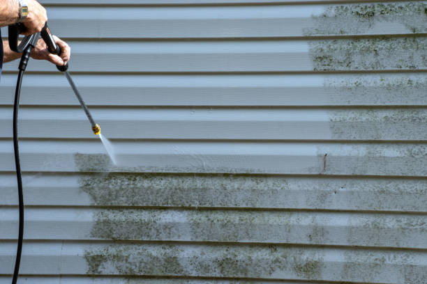 Best Hoarding Cleanup  in Jasper, AL